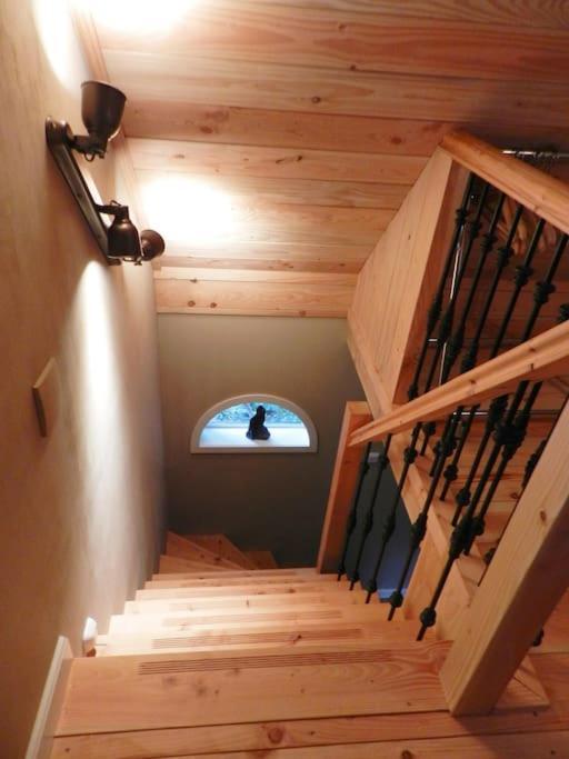 Tiny House Tholen Villa Bagian luar foto