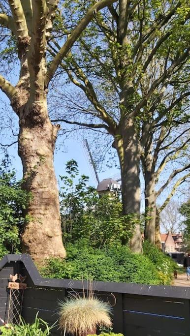 Tiny House Tholen Villa Bagian luar foto