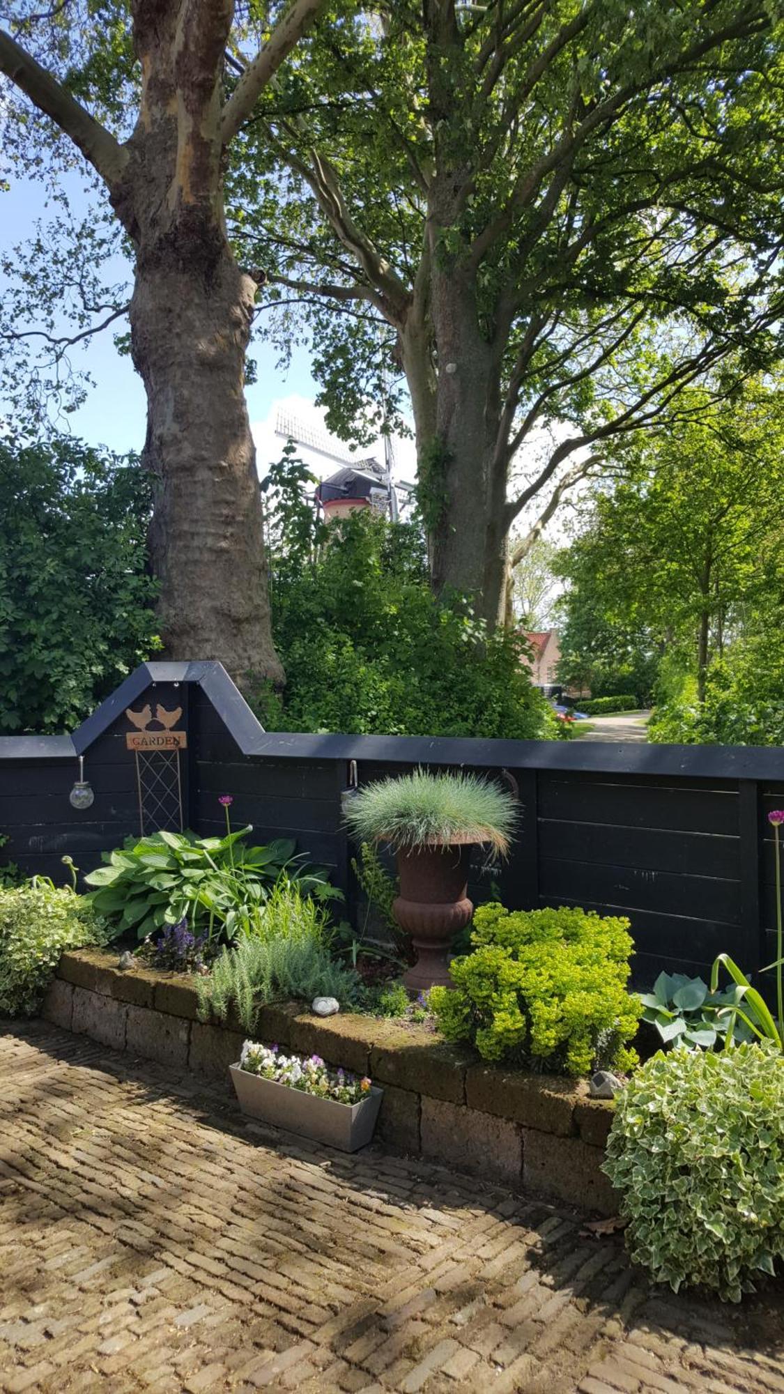 Tiny House Tholen Villa Bagian luar foto